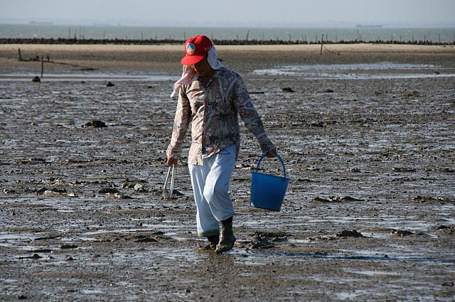 バケツにはハマグリと大きなカニが入っていました