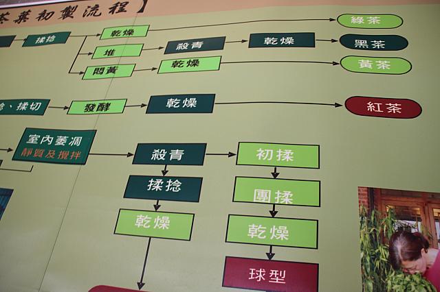 茶の製造過程も貼ってあります