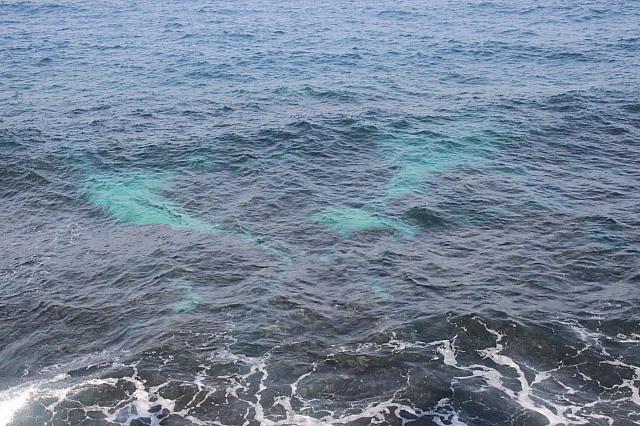 海底の砂が見えるんですよ～