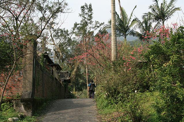 ヤシの木に、やはりここは南国だったと気付かされました