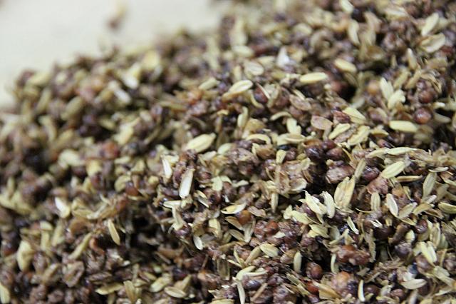 これはもう糟（カス）の部分