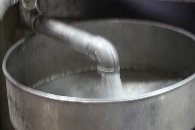 出てきましたよ～コーリャンが～