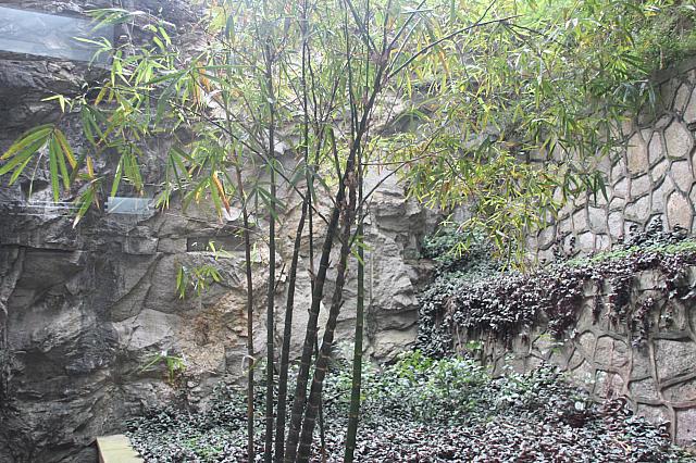 館内から窓の外をみると花崗岩が見えます。花崗岩を掘って作ったんですねぇ