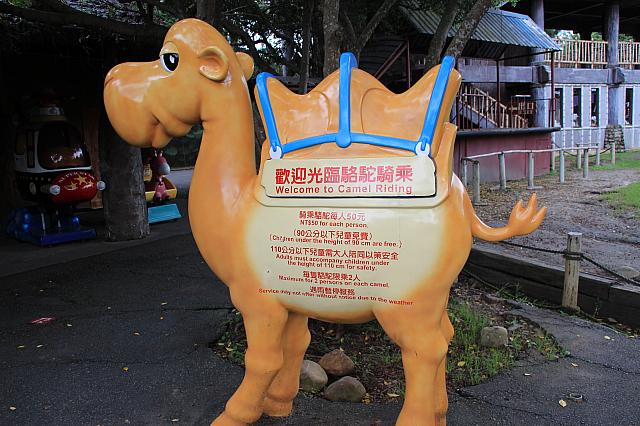 らくだや馬に乗ることもできるのです。残念ながら本日はお休み～
