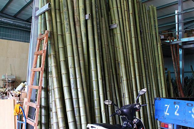 一般の孟宗竹だけでなく