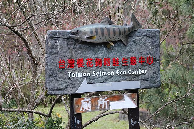 タイワンマス生息センター