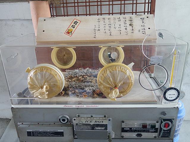 これはご実家の病院から譲り受けた、昔の保育器だそう。