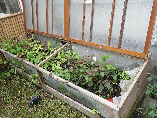 ハーブの植えてある箱。