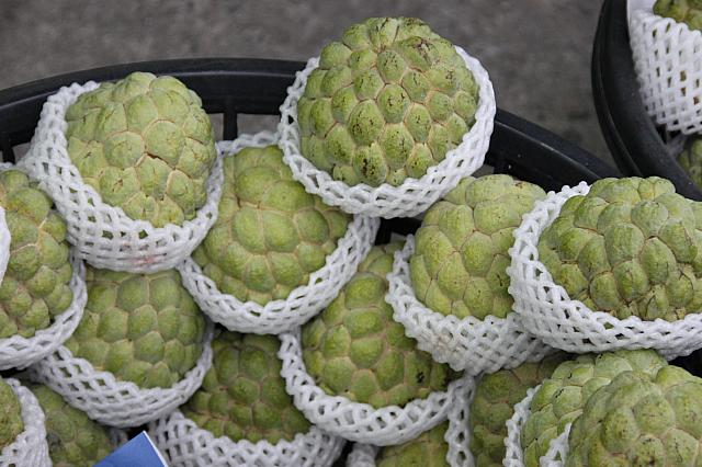 台東名産の釈迦頭！台東では、1年中食べられます