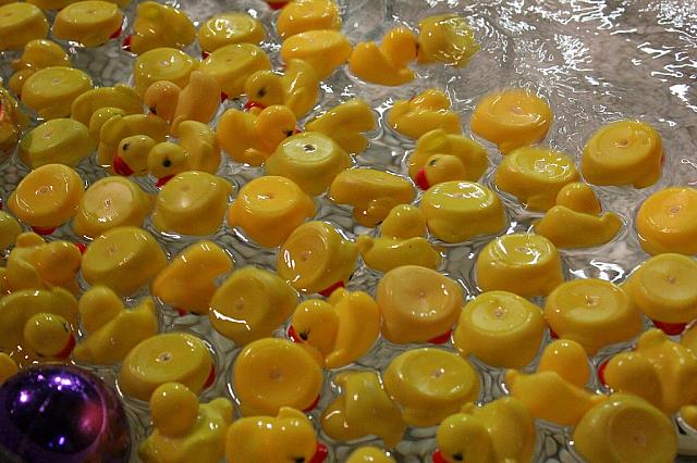 大量のあひるちゃんが入ったジャグジー！室内からもとっても目立ちます