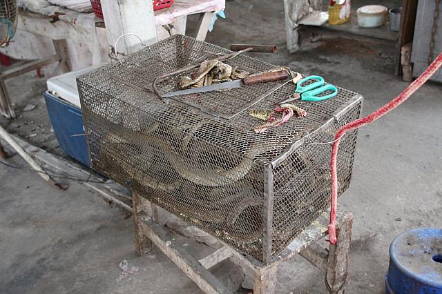 苦手な人はびっくりですが