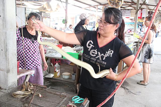 シャーッと檻から取り出しました