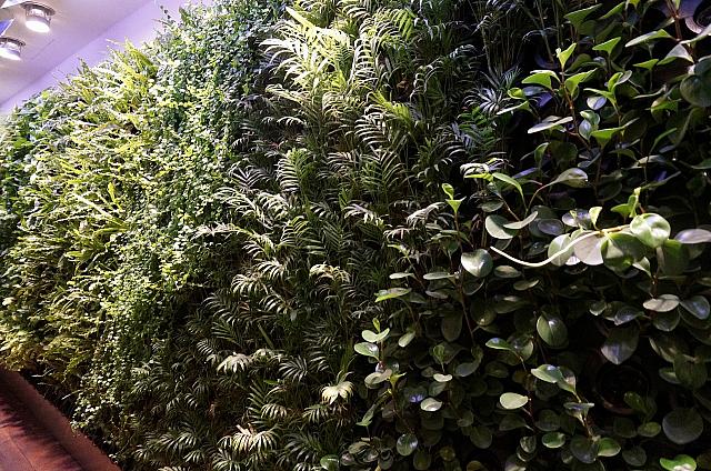 4号店以降は観葉植物のインテリアを採用