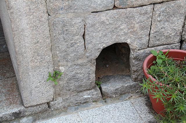 飼い犬の家への通り穴や