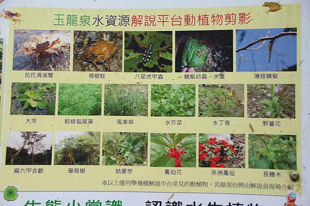 豊富な生態紹介も