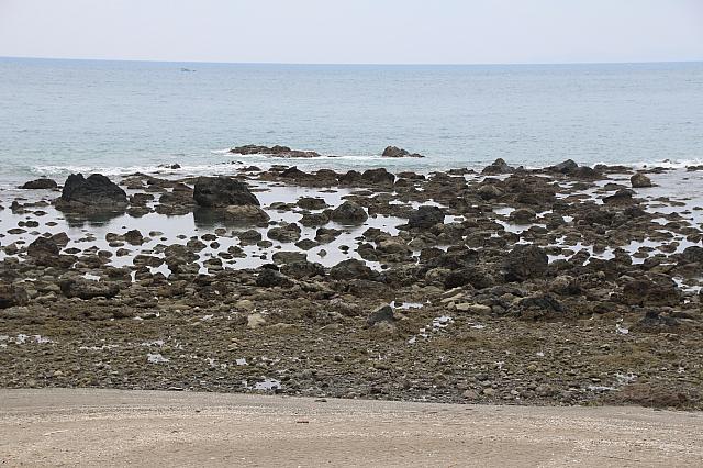 この岩場に魚が？