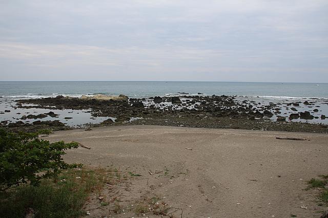 サンゴ礁でもある海岸