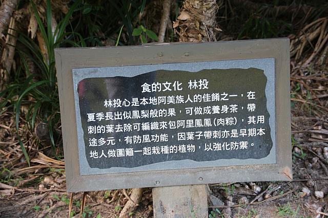 芝生の山にもありましたよ