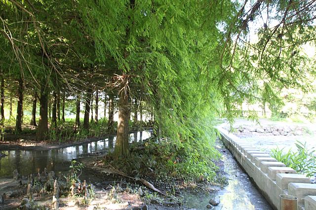 もう少し水があれば。。