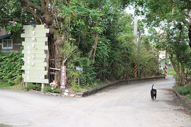 こちらからも入れます。ワンちゃんは民宿で飼われているララ、ナビたちと一緒に船で来ました