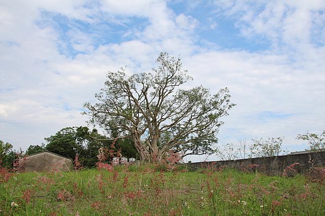 入口近くの風景