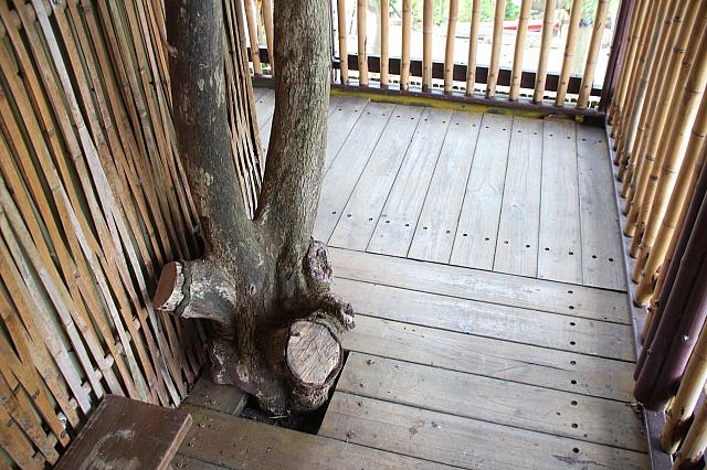 木を利用して支えています