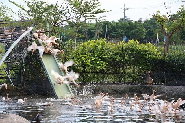 目が離せません！