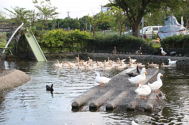 すごいパフォーマンスを見せてくれた後は