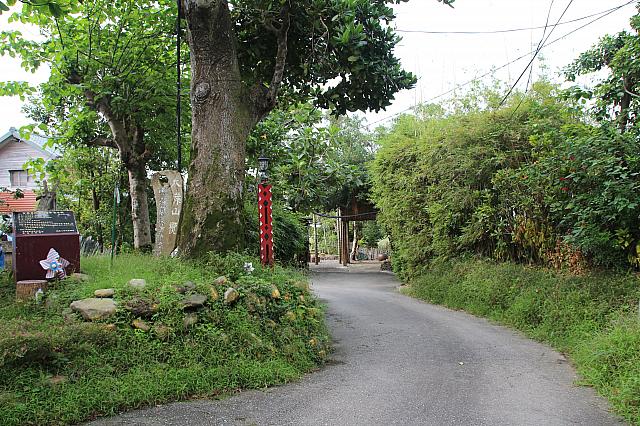 クバラン族の精神の樹