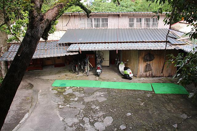 木の上から望む