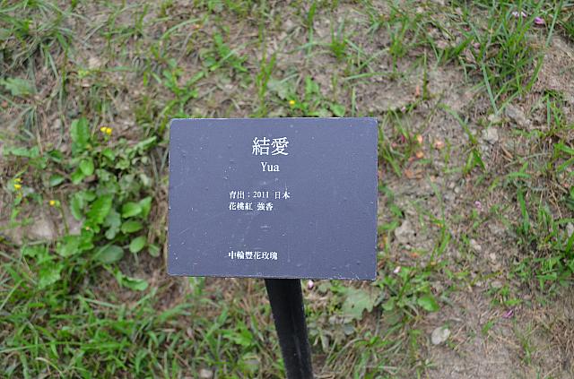 バラにはすべて看板がついているのでわかりやすい