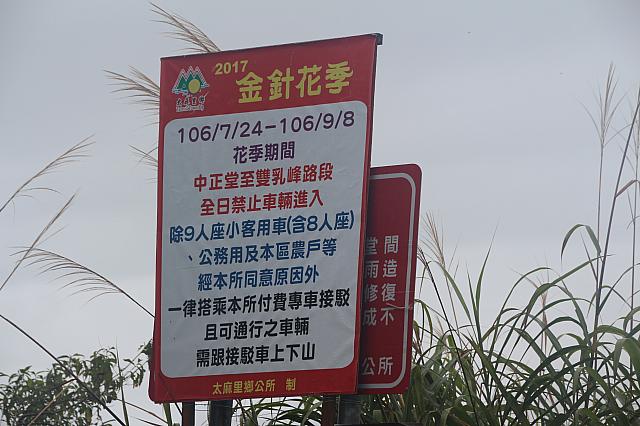 毎年7月末から9月上旬がシーズンです