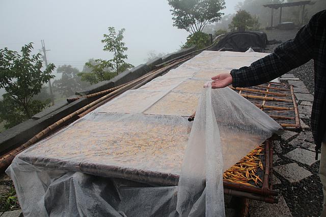 蒸す前の花。雨の日でも蒸す作業は行います