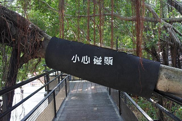 頭をぶつけないように気をつけて～！