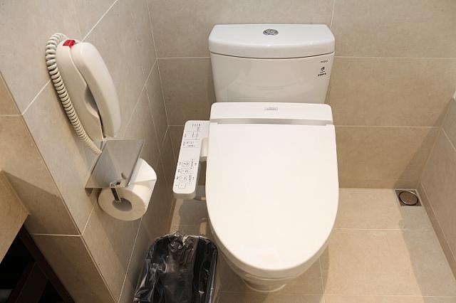 ウォシュレットタイプ