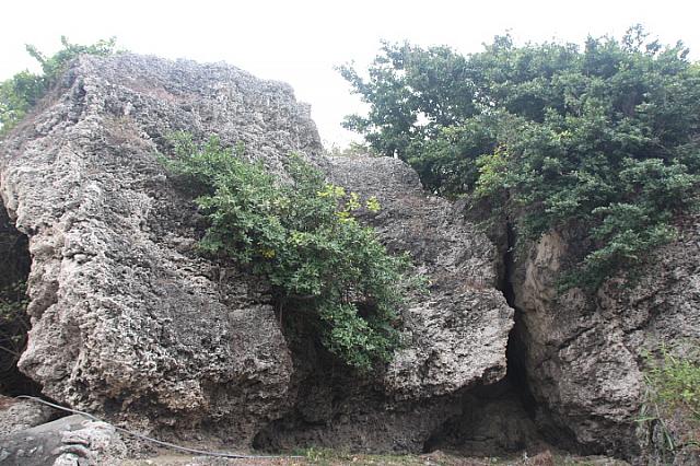 サンゴ礁で形成された島です