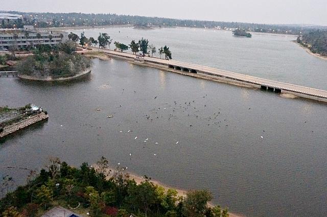 朝、ナビの部屋から見えた景色。鳥がい～っぱい！！