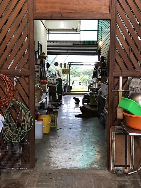 飲み水やお湯はこの場所からセルフで補充します。