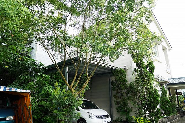 一見すると台湾郊外の広い民家ですが、緑が茂る庭が目を引く民宿です