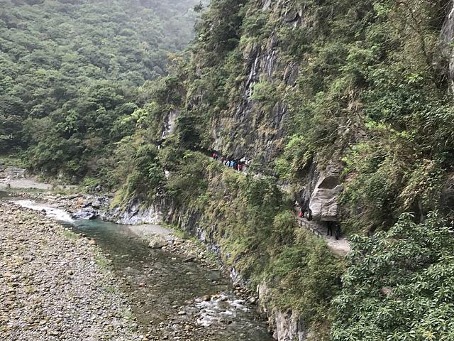 橋から見た川の様子