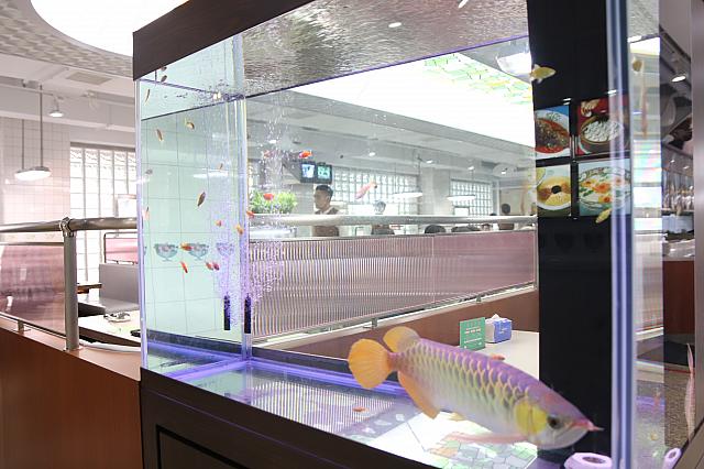 80年代ごろにラッキーアイテムとして人気を博したアロワナも店内に　