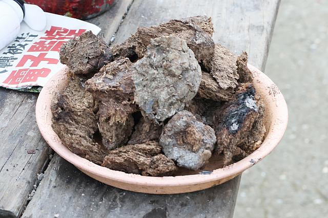 フンを燃料にしたポップコーン作り