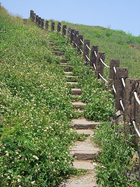 この階段を上ります