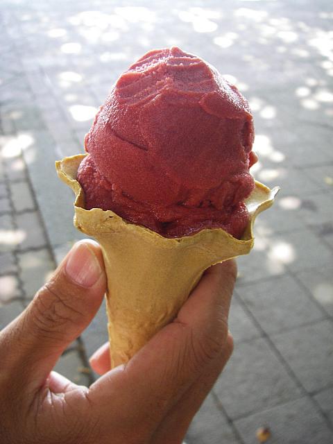 サボテンアイス～！