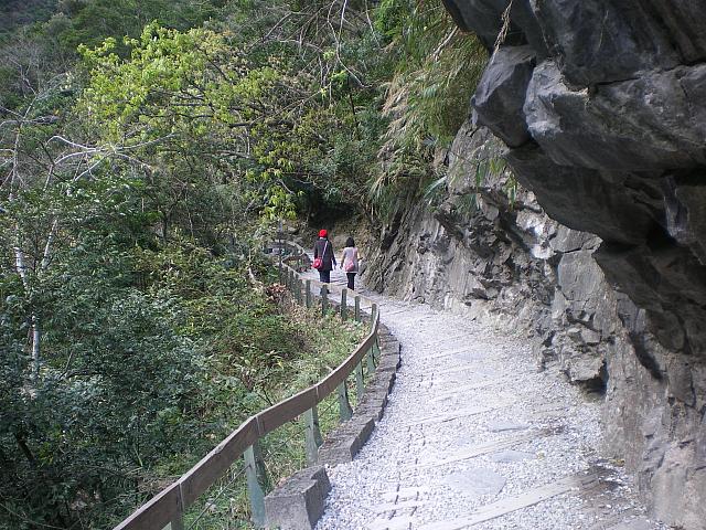 傾斜もなく歩きやすい歩道になってます。