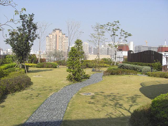 屋上庭園。奥の板塀の裏は洗濯物干しスペース