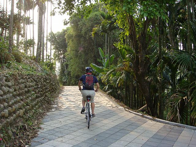 自転車道と書いてあるのに、ガタガタ道でした