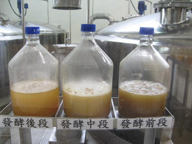 で、見学ルートでは醸造工場も見学できます。
