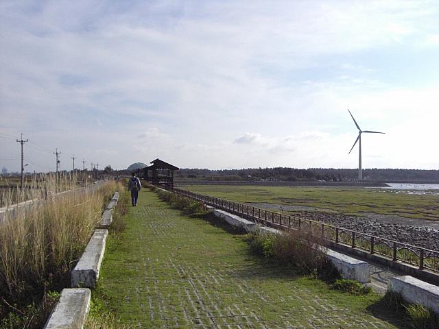 堤防の上に展望小屋が作られています。