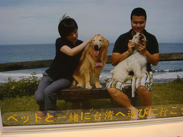 台湾はペットにも旅しやすいところ